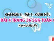 Bài 4 trang 36 Toán 8 Tập 2 Chân trời sáng tạo